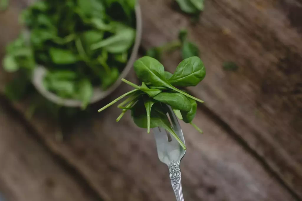 Menthe poivrée