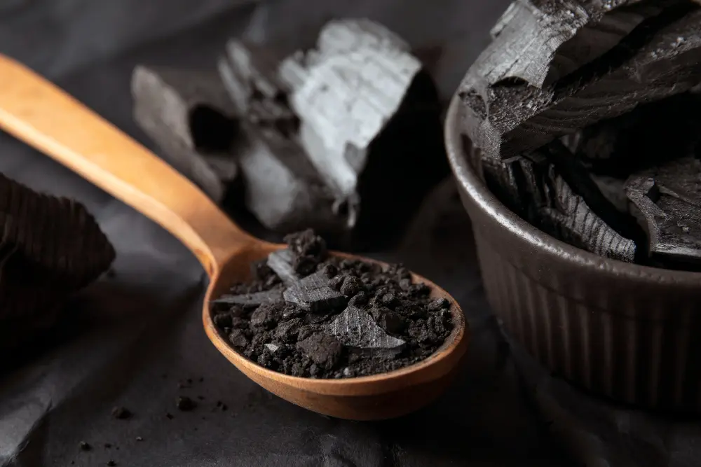 Shilajit