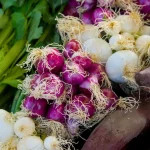 Légume en O : la liste complète pour le Petit Bac Légume en O