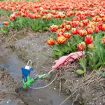Glyphosate espagne 5l : tout savoir pour un achat malin pesticide champs